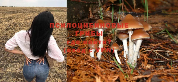 мескалин Волоколамск