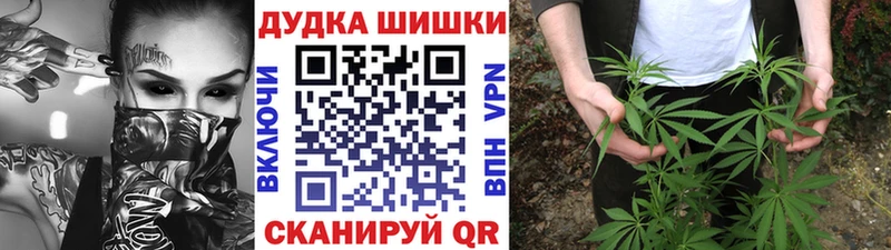 закладка  Володарск  Шишки марихуана Amnesia 